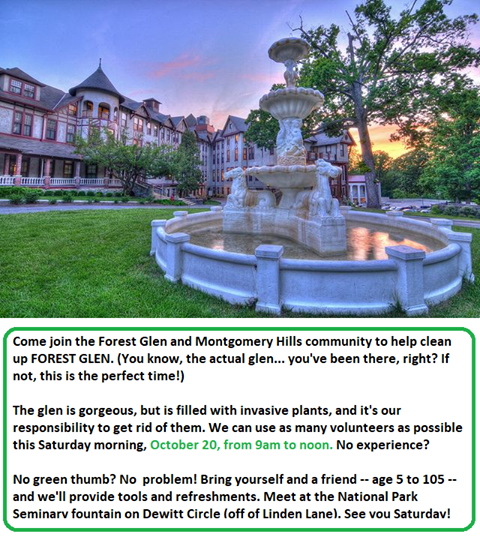 44384117_534211983672334_239959779877847040_n